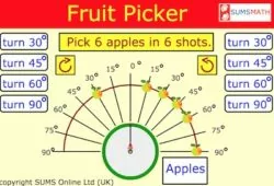 fruite picker