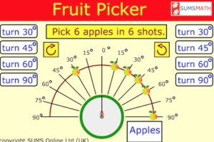 fruite picker