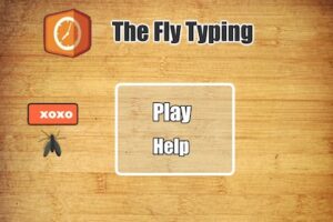 fly typing
