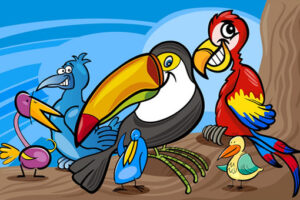Exotic Bird Coloring Exotic Bird Coloring