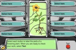 plant scan