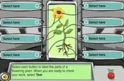 plant scan