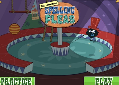 Amazing Spelling Fleas