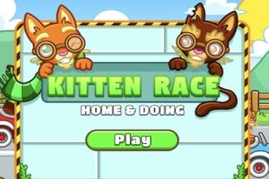 kitten race