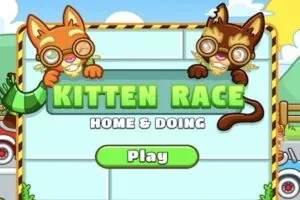 kitten race