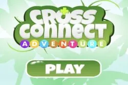 cross connect