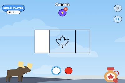 Flag Paint - World Tour