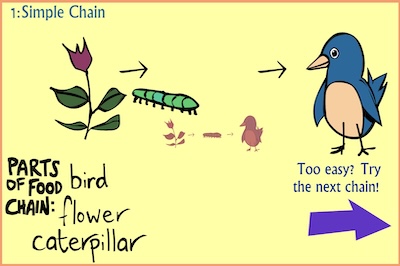 The Food Chain Game