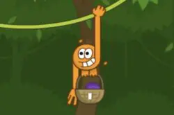 vine-time